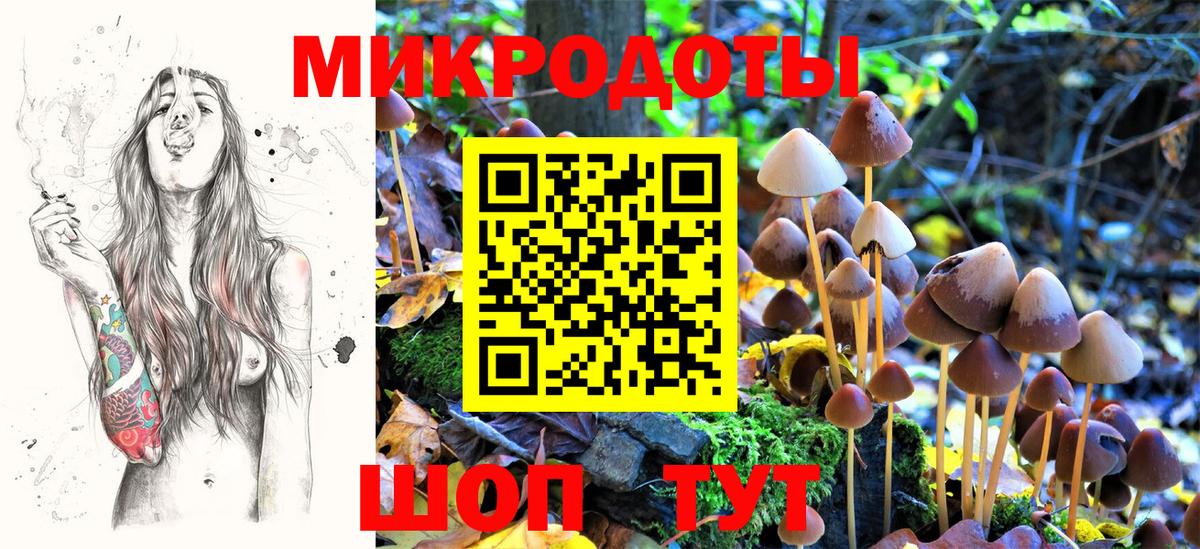 Псилоцибиновые грибы мицелий Орск
