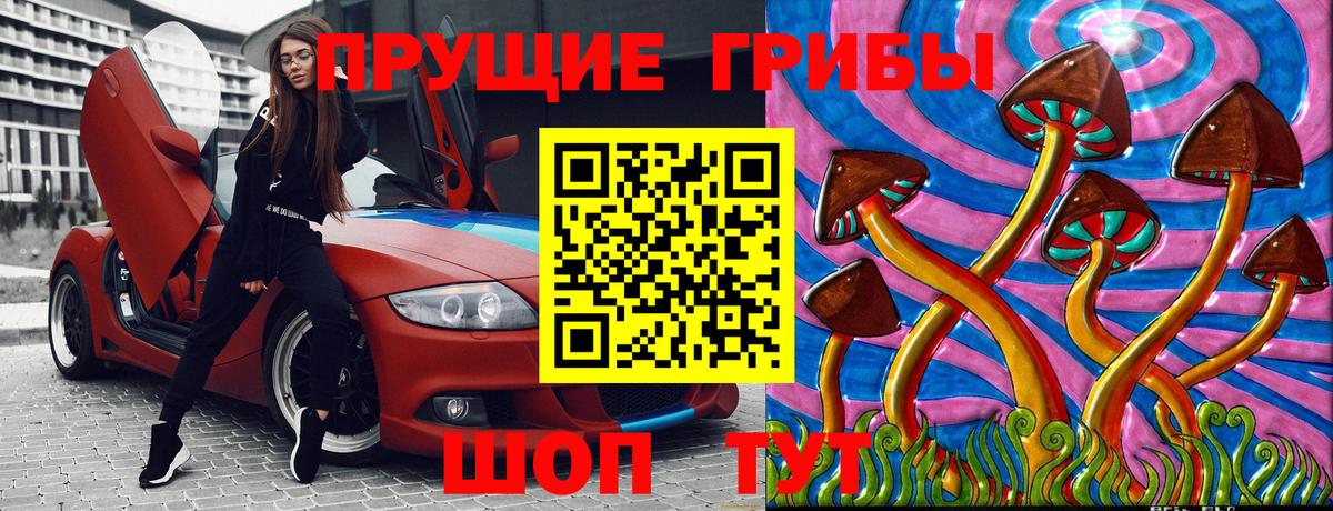 Псилоцибиновые грибы Psilocybe  купить   Орск  Вход с VPN 